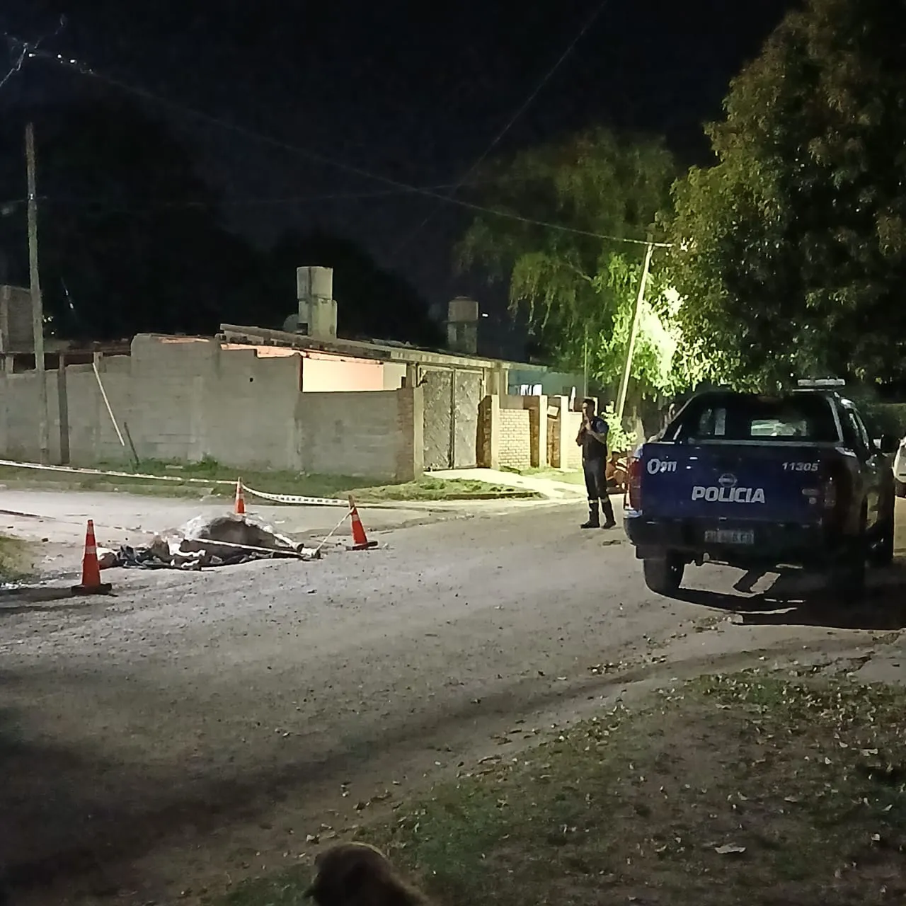 Caballo electrocutado