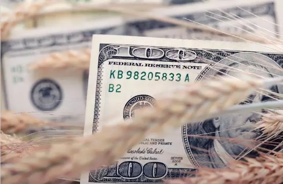 dolar agro