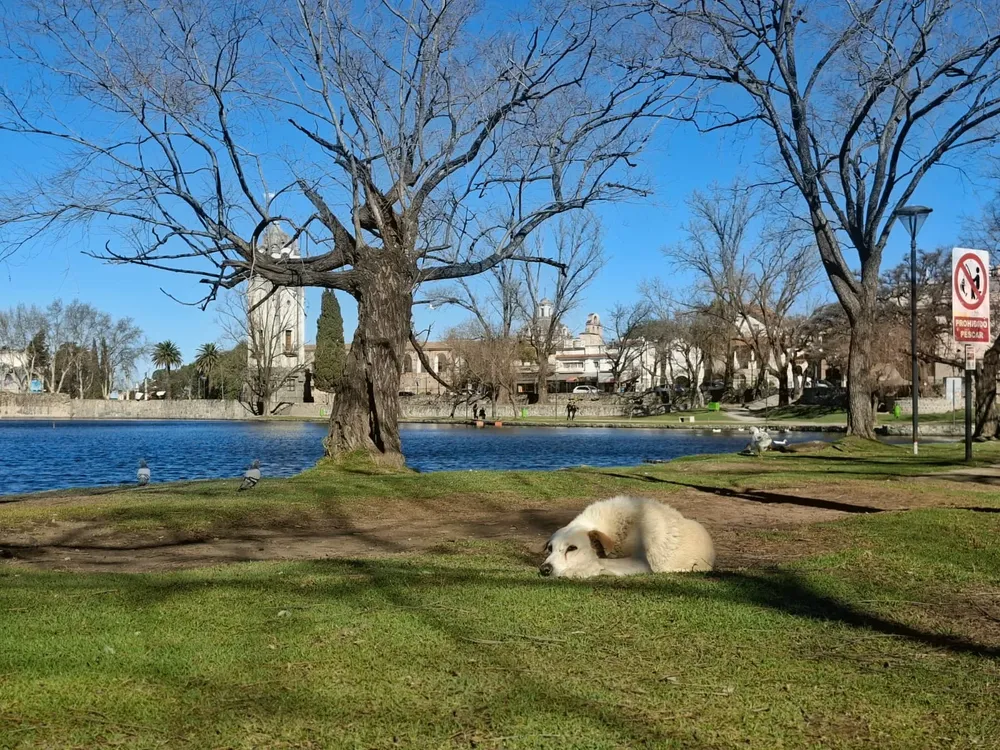 Clima, Alta Gracia, Tajamar