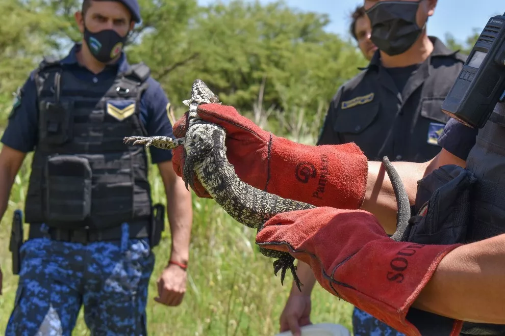 Frío extremo: más de 80 muertos por el temporal ártico que azota