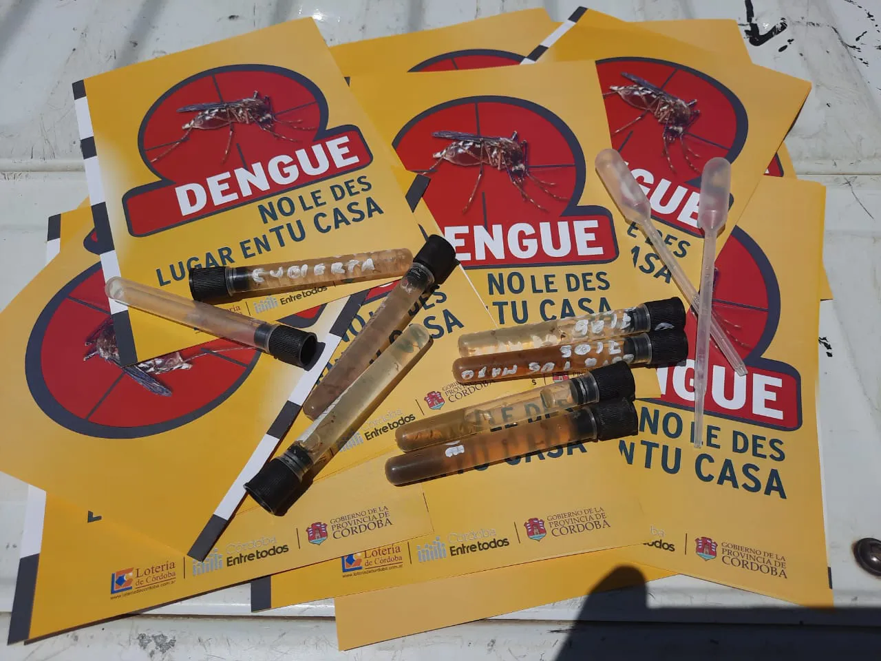 CONTROL DENGUE (2)