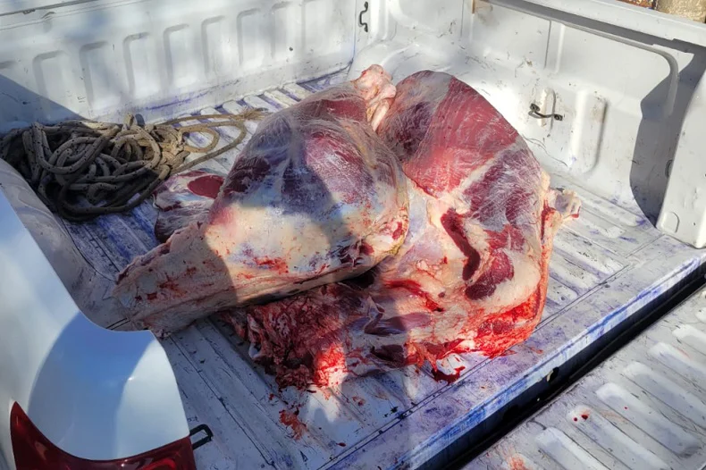 Carne decomisada Vª San Nicolás 20260618