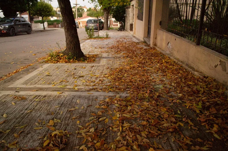 Clima 2025 Otoño Parc. Nublado (11)