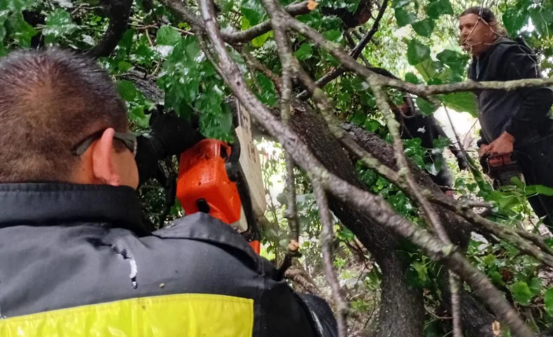 AG Trabajos Temporal 20260404