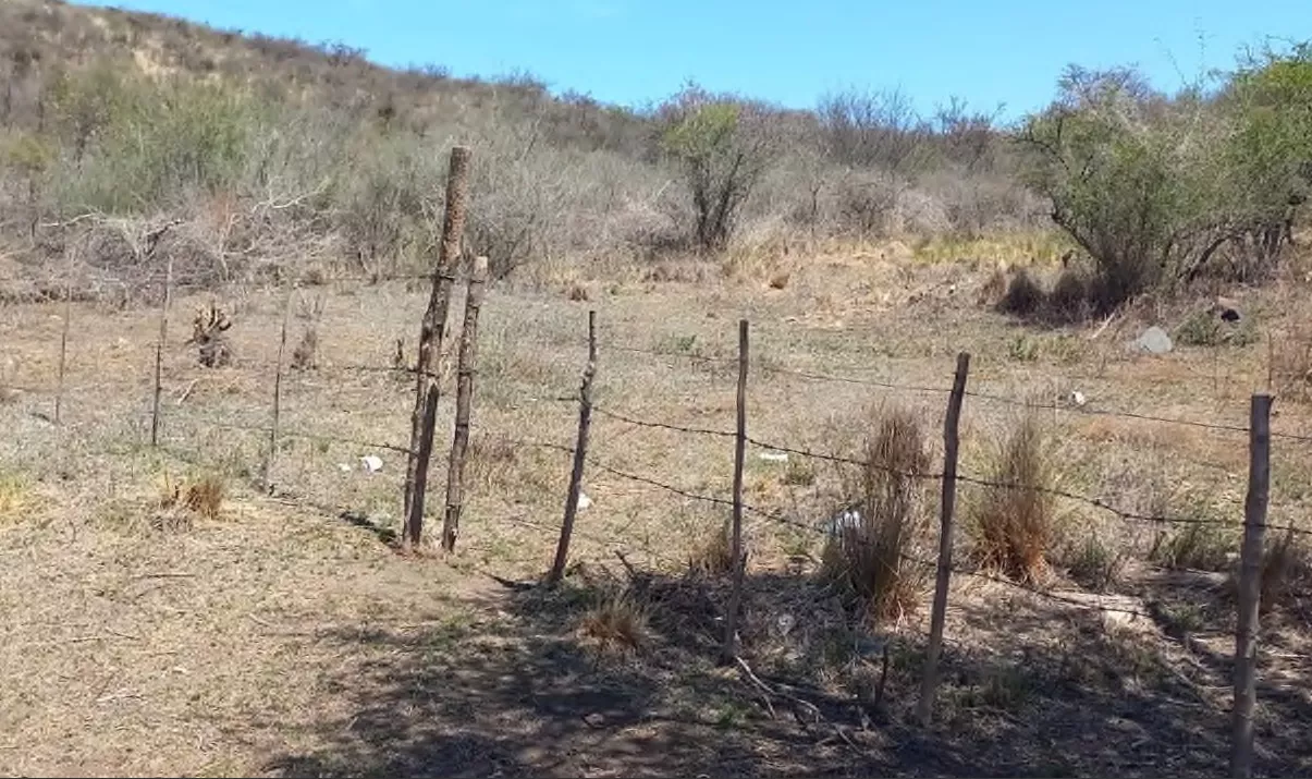 lote alambrado