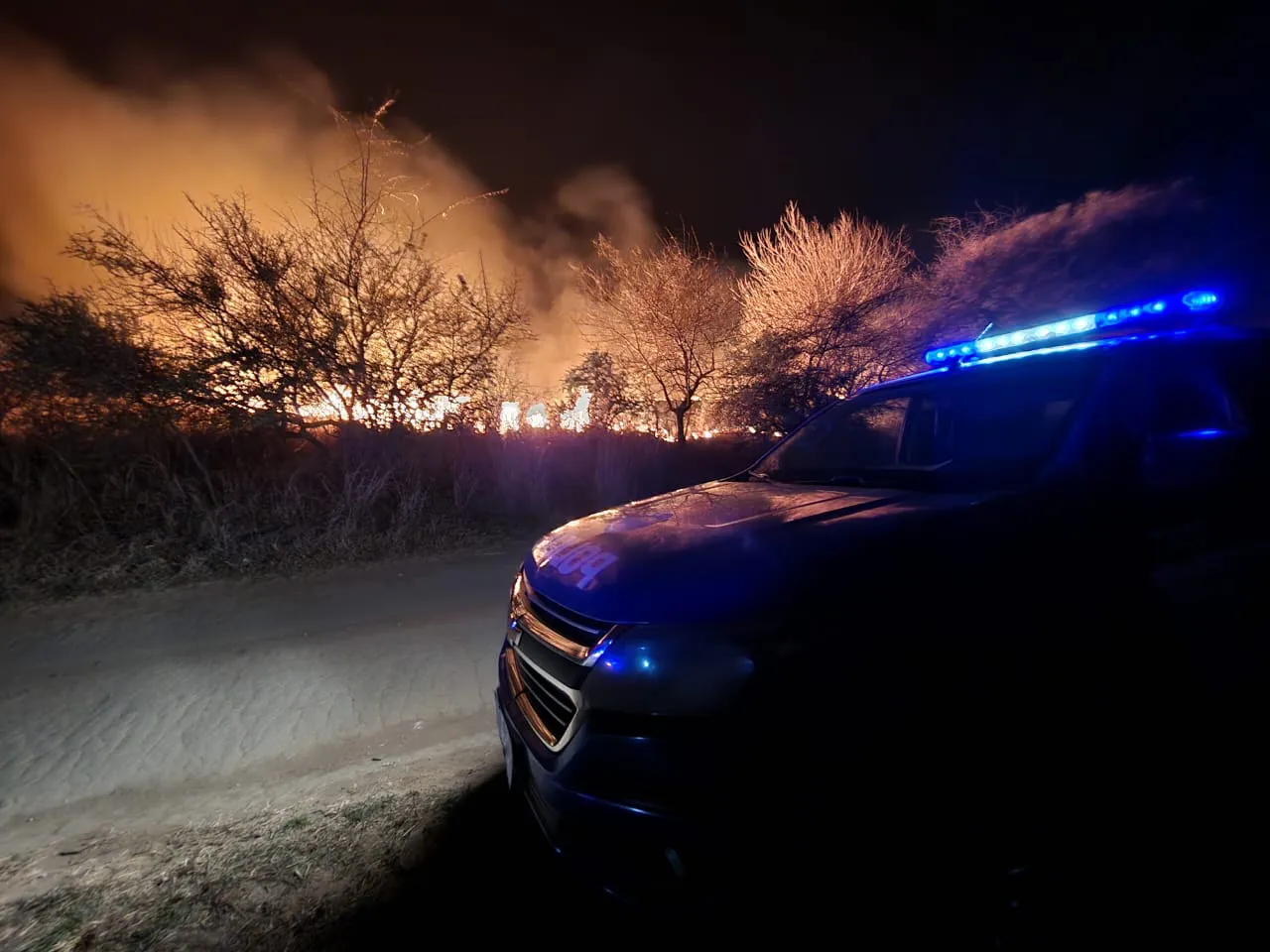 WhatsApp Image 2023-08-16 at 09.06.44 (1)