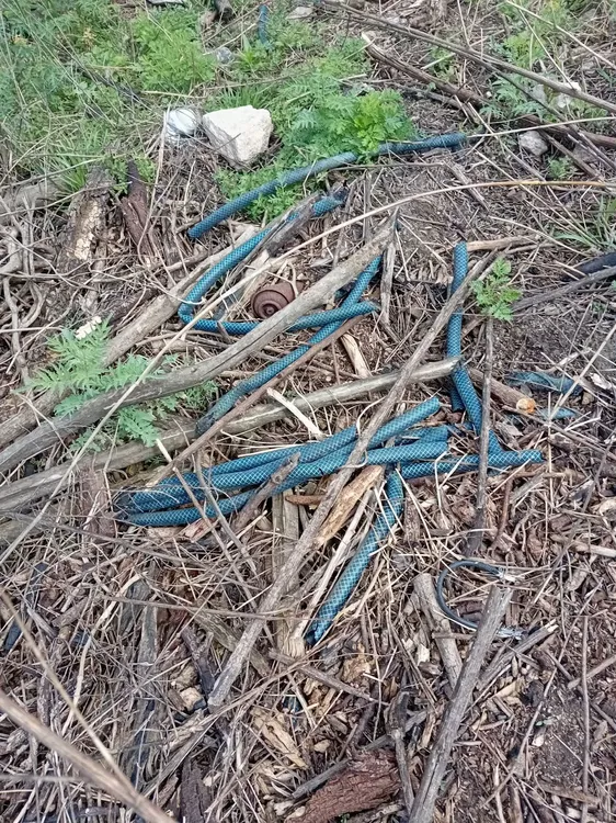 Denuncian Basural en Zona Roja - Villa los aromos (5)