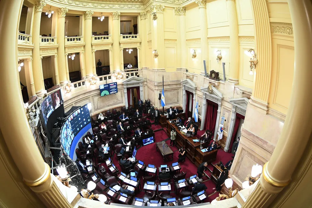 senado