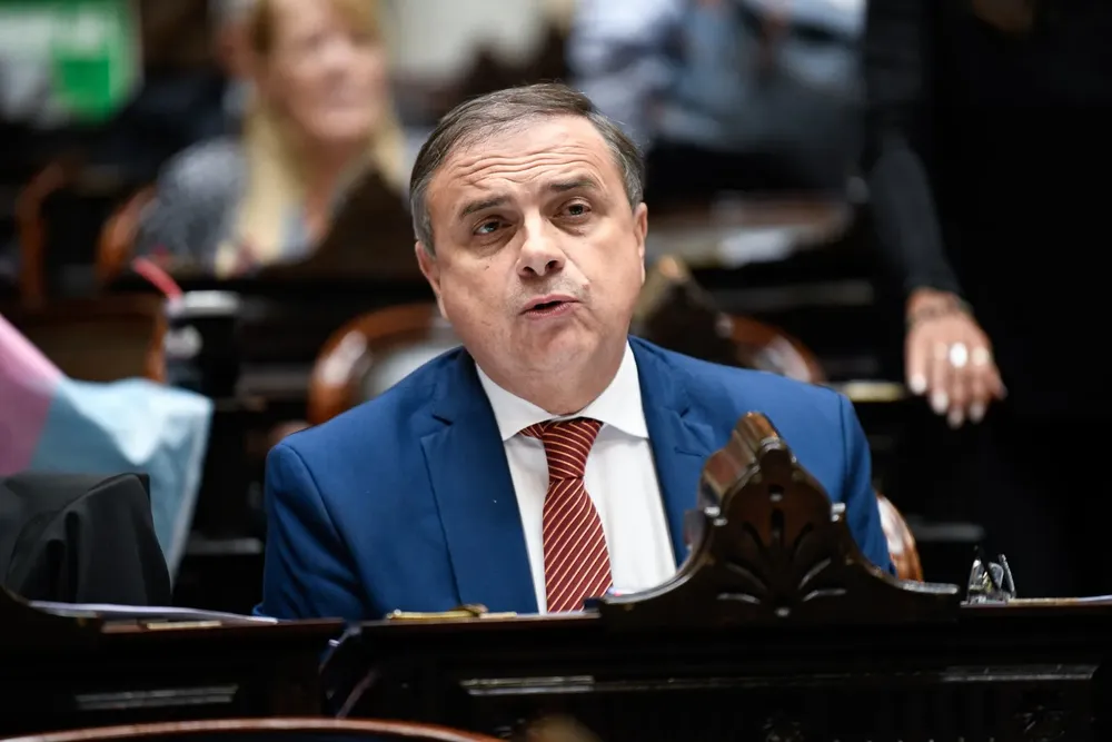 Diputado Nacional Juan Brügge