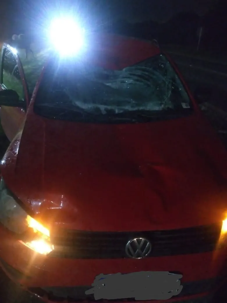 WhatsApp Image 2024-05-02 at 09.12.43