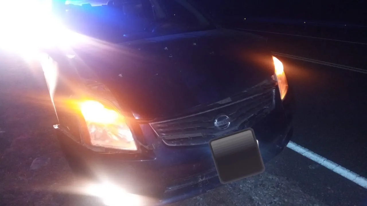 WhatsApp Image 2023-07-26 at 08.53.17