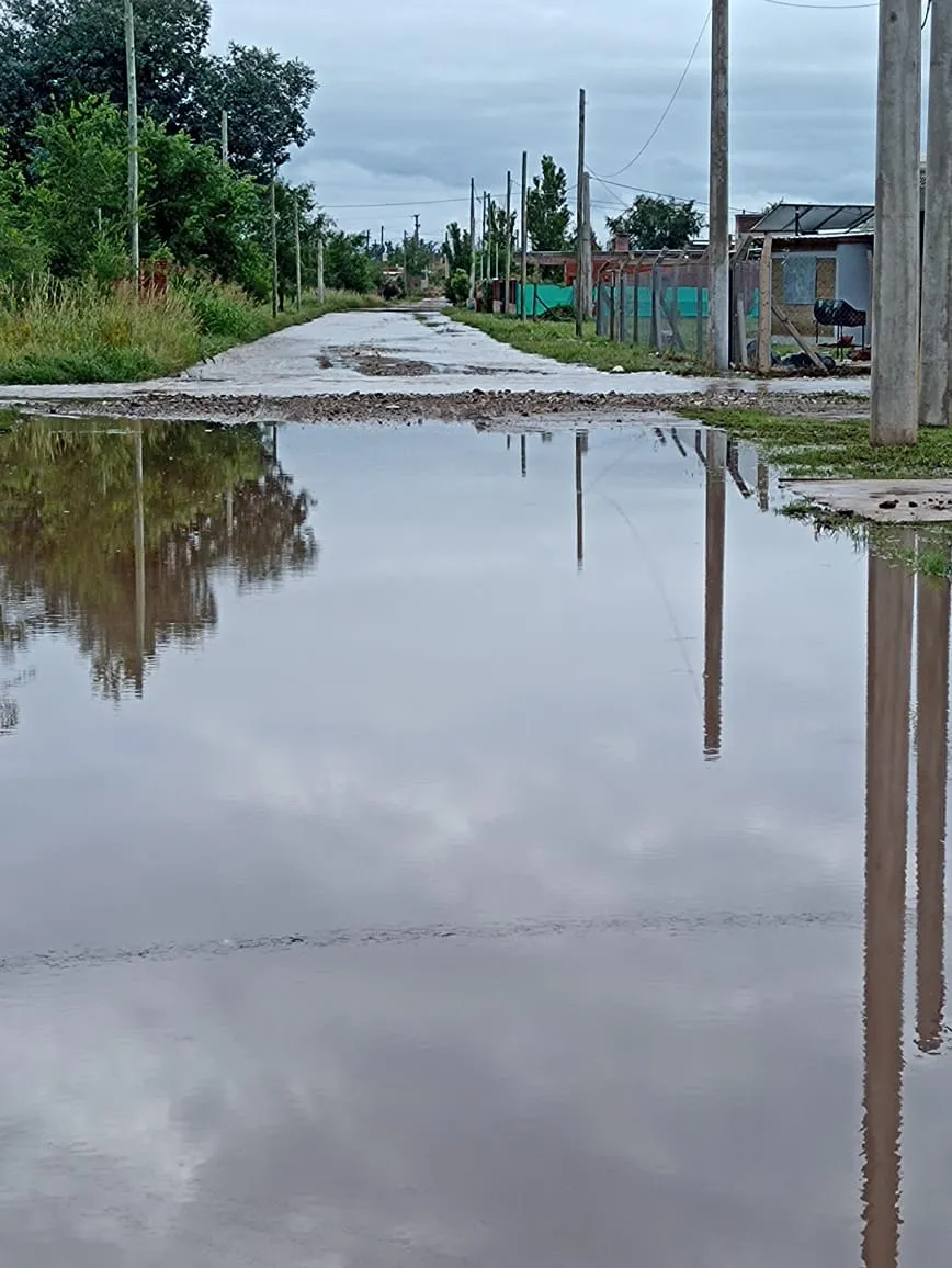 WhatsApp Image 2024-02-23 at 10.46.30