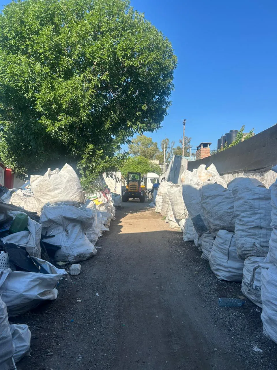 WhatsApp Image 2025-12-31 at 10.06.42 AM