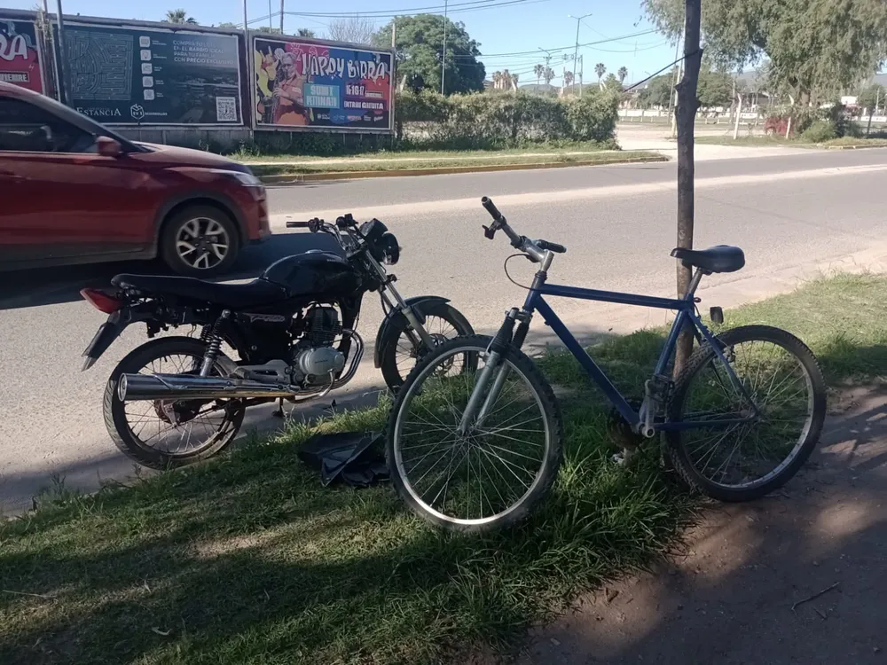 WhatsApp Image 2024-11-13 at 09.14.19