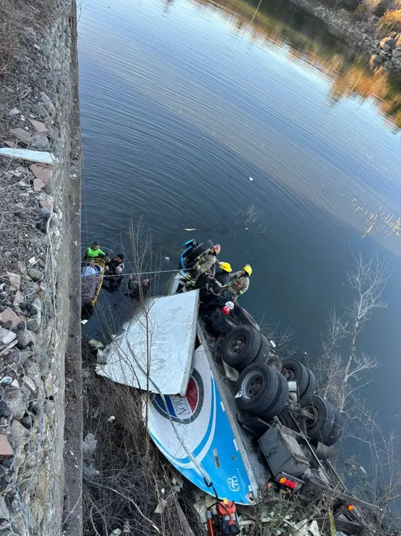 Potrero de garay - accidente camion cerdos (4)