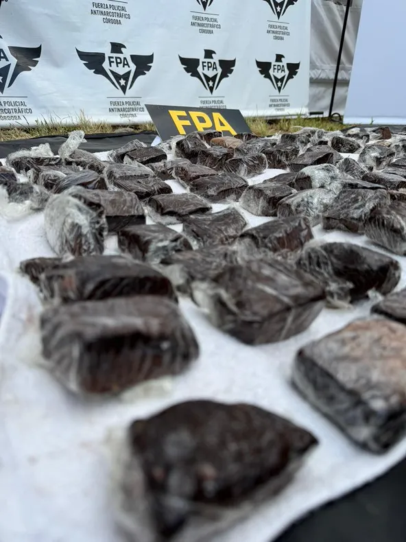 FPA Cosquín Rock 20260214 (2)