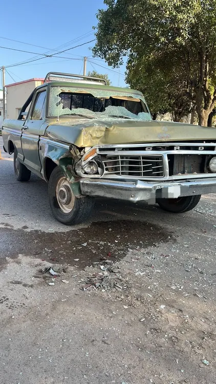 WhatsApp Image 2024-09-25 at 10.01.05