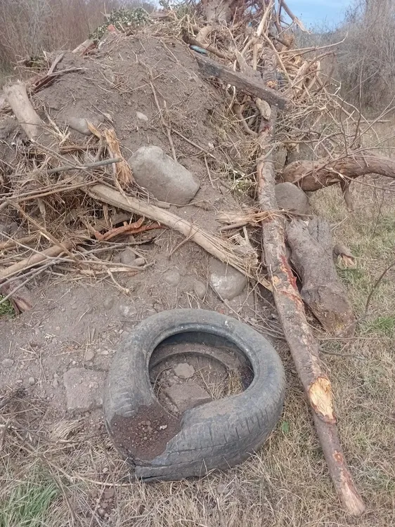 Denuncian Basural en Zona Roja - Villa los aromos (2)