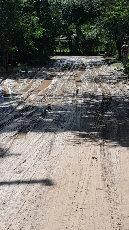 WhatsApp Image 2024-03-01 at 12.16.36