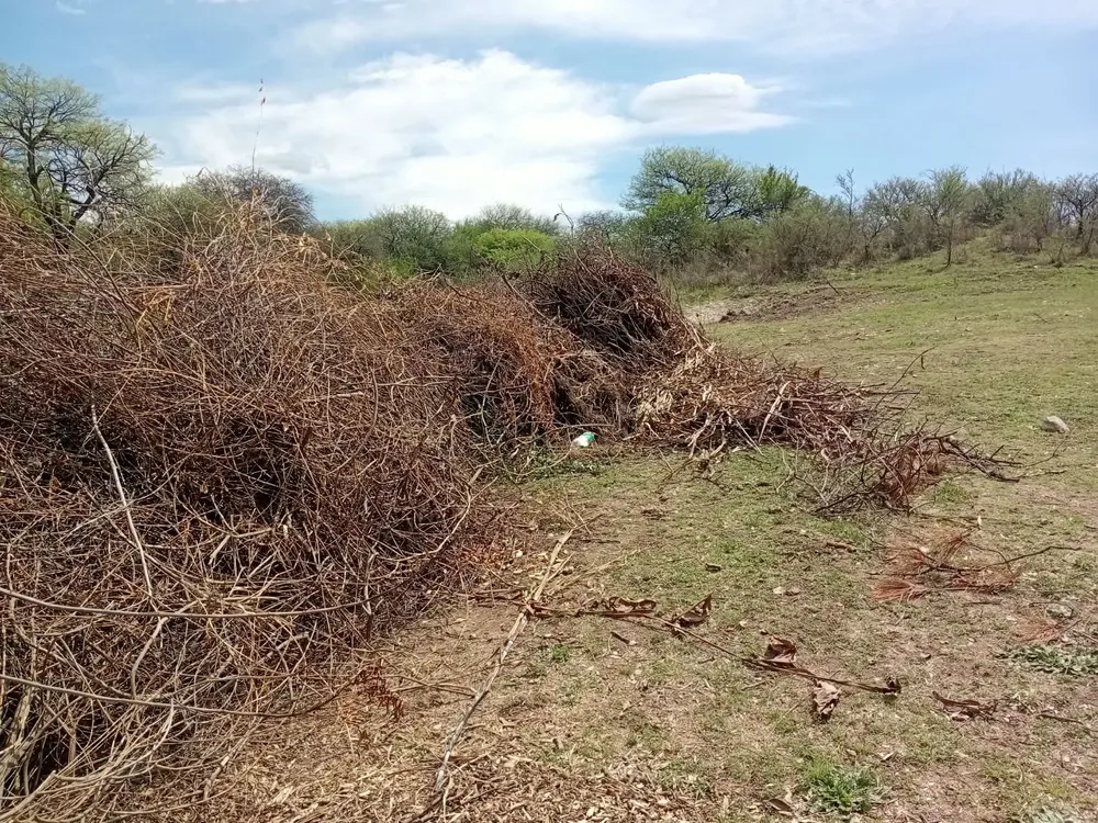 Denuncian Basural en Zona Roja - Villa los aromos (6)