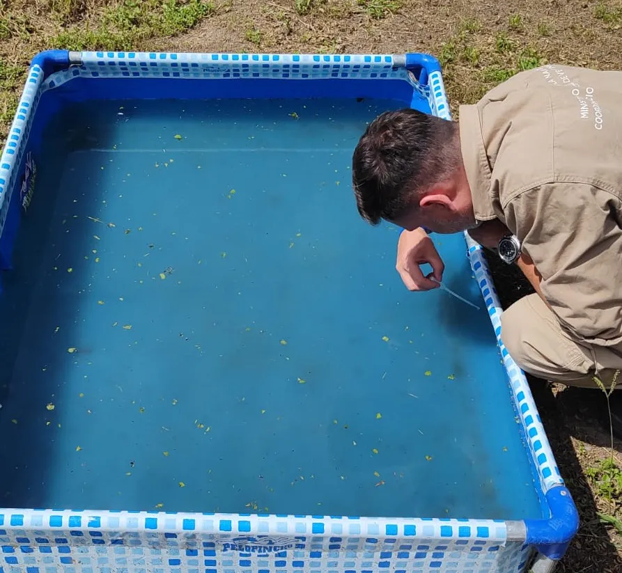 AG Lucha contra Dengue 20250115 (4)