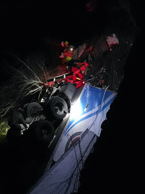 Potrero de garay - accidente camion cerdos (5)