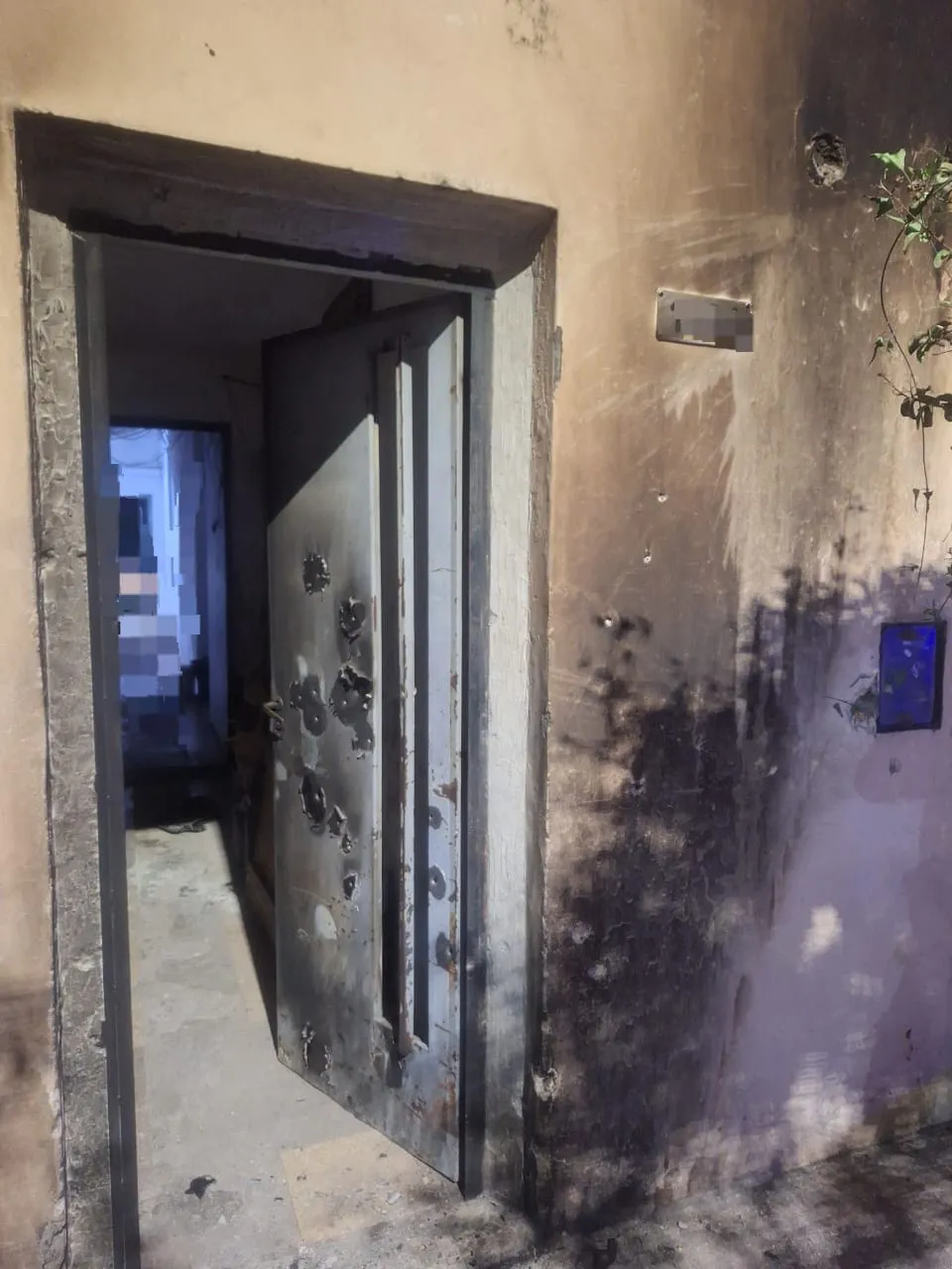 WhatsApp Image 2025-04-27 at 10.35.33 AM