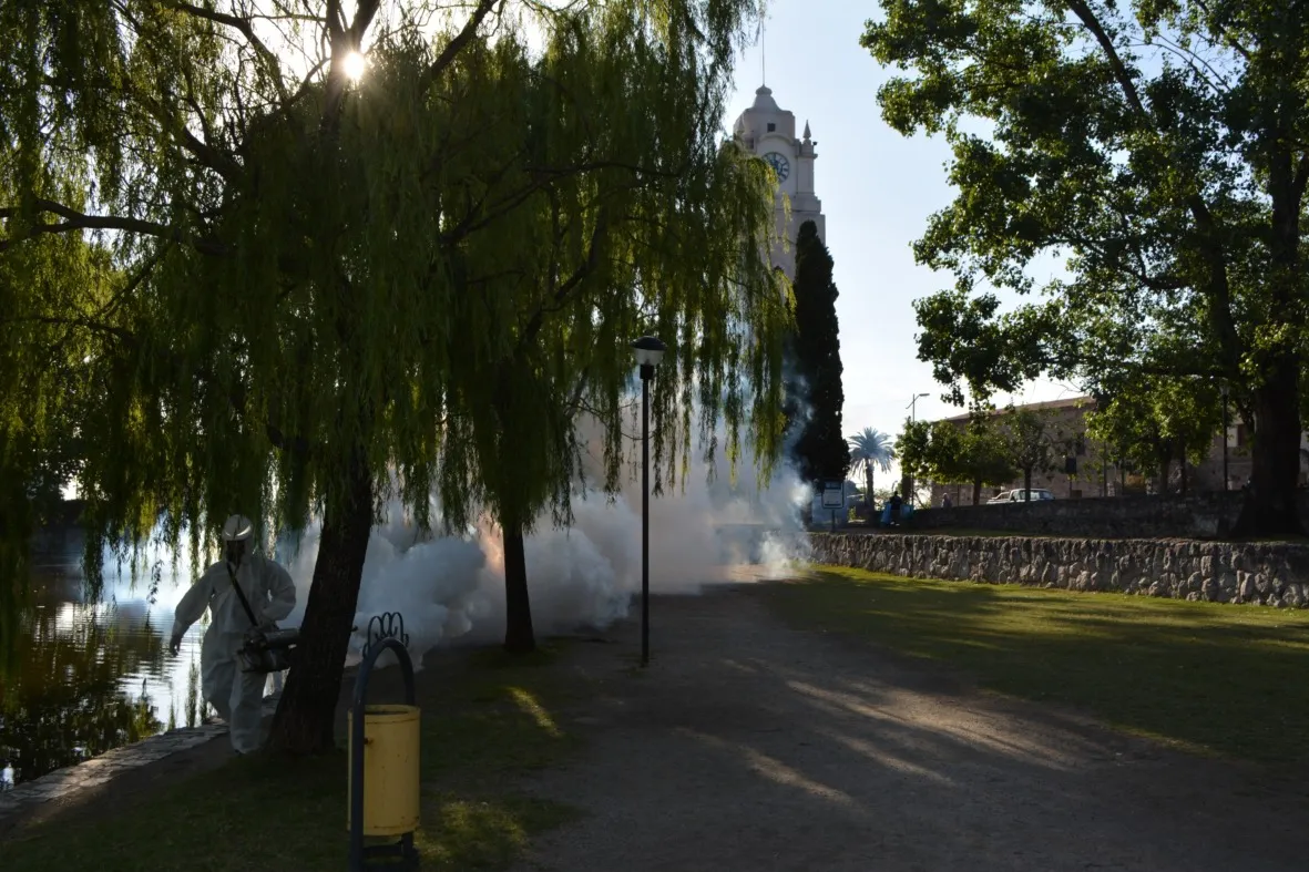 fumigacion
