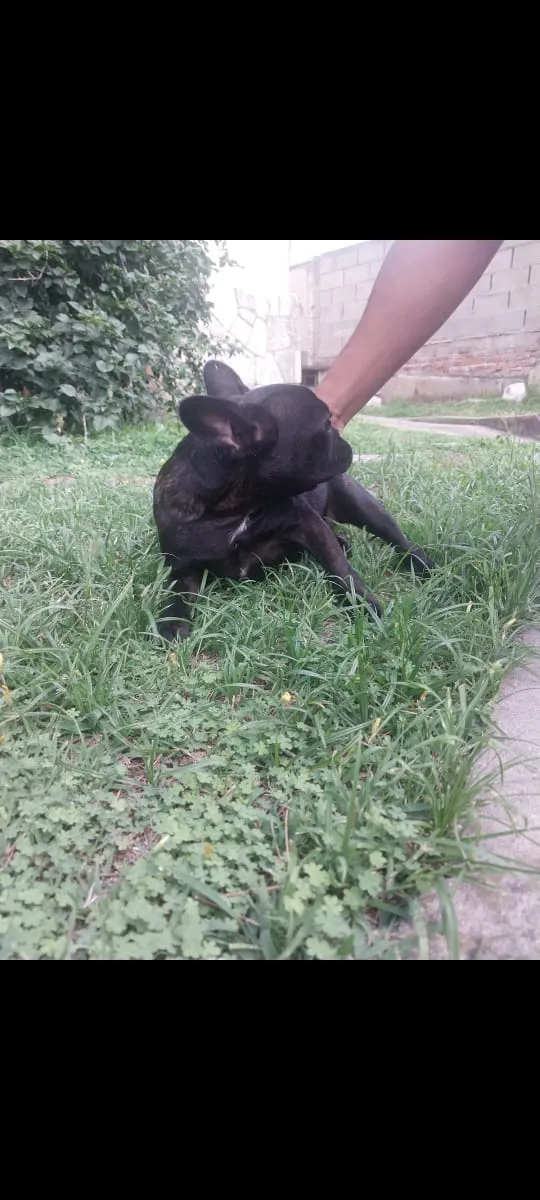 WhatsApp Image 2024-11-21 at 08.31.10