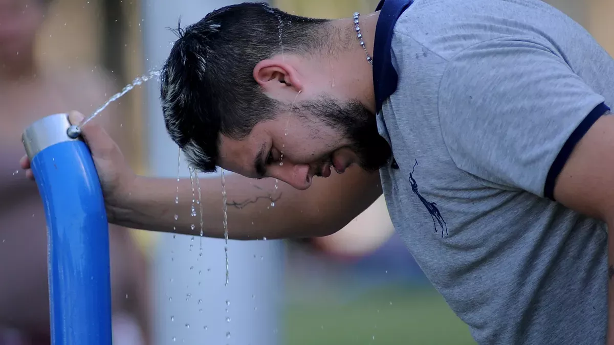 calor