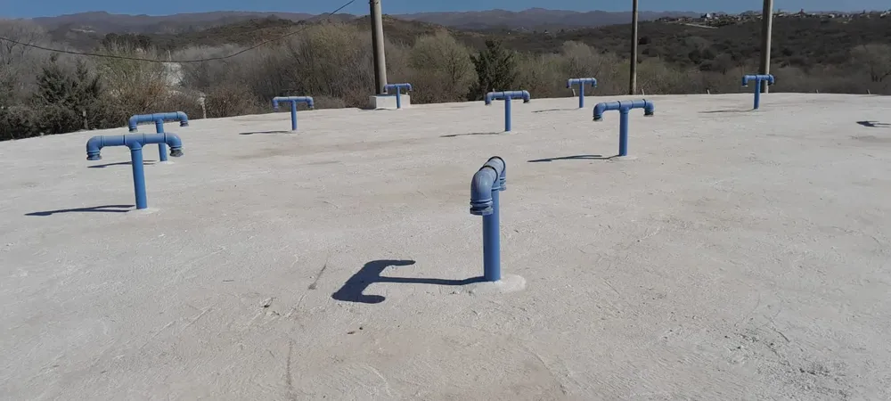 WhatsApp Image 2023-08-28 at 11.52.43