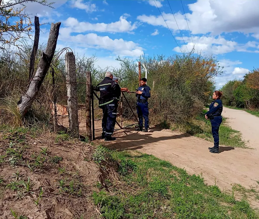 Carrera de caballos ilegales despeñaderos (1)