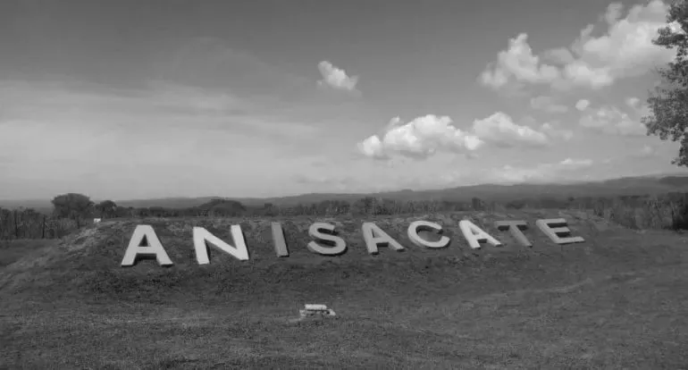 Anisacate ingreso ByN