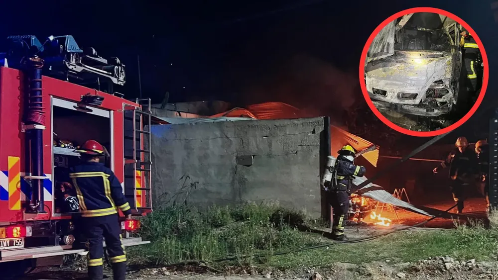 Diseño sin título (2)