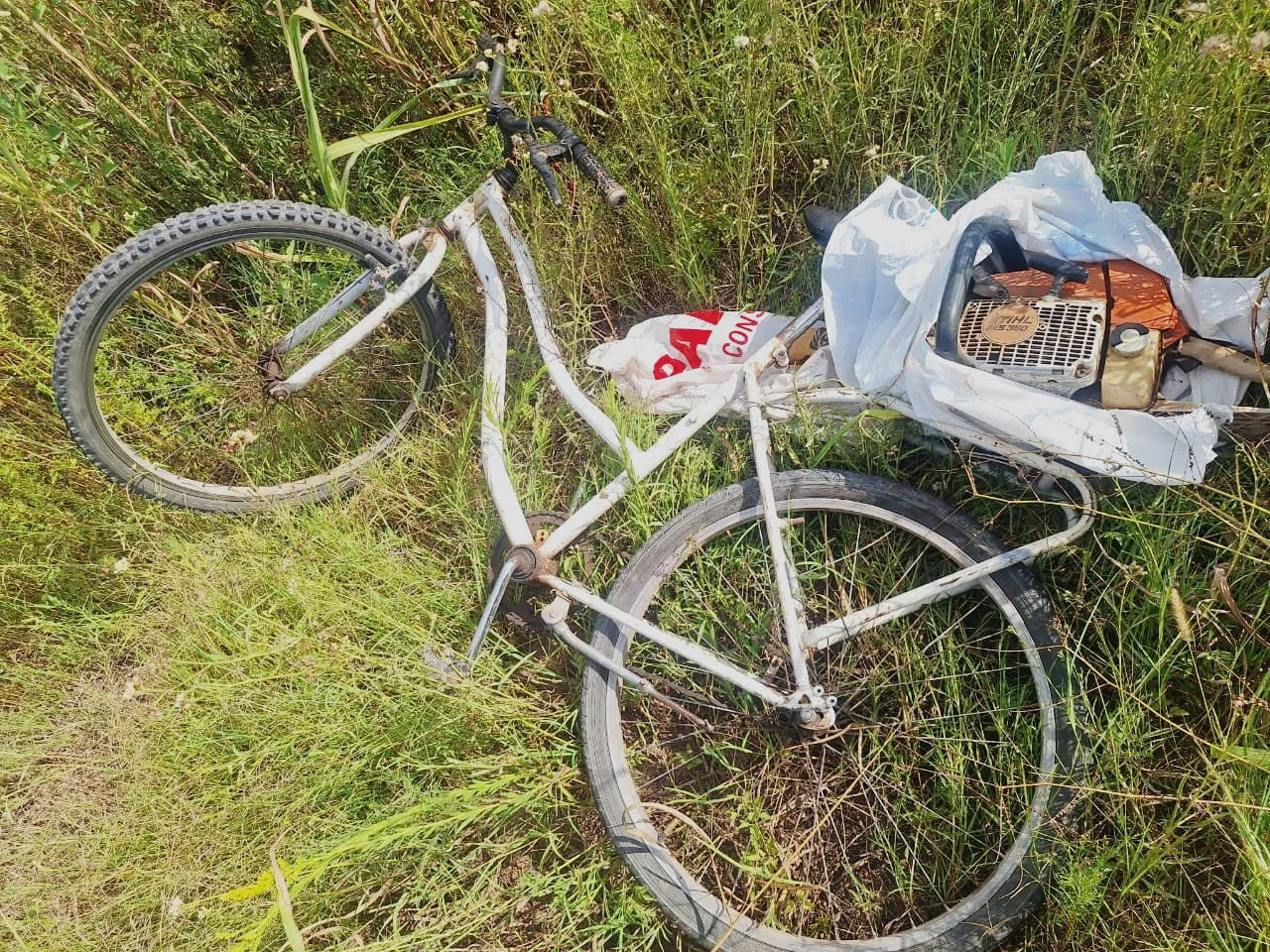 Despeñaderos - policiales (2)