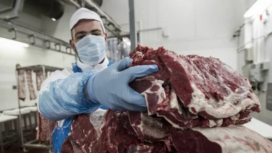 carne carniceria