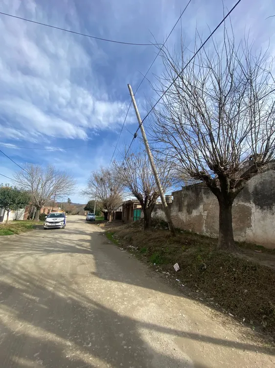 Defensa Civil - caida de arboles (1)