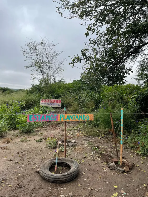 WhatsApp Image 2024-04-10 at 17.51.08