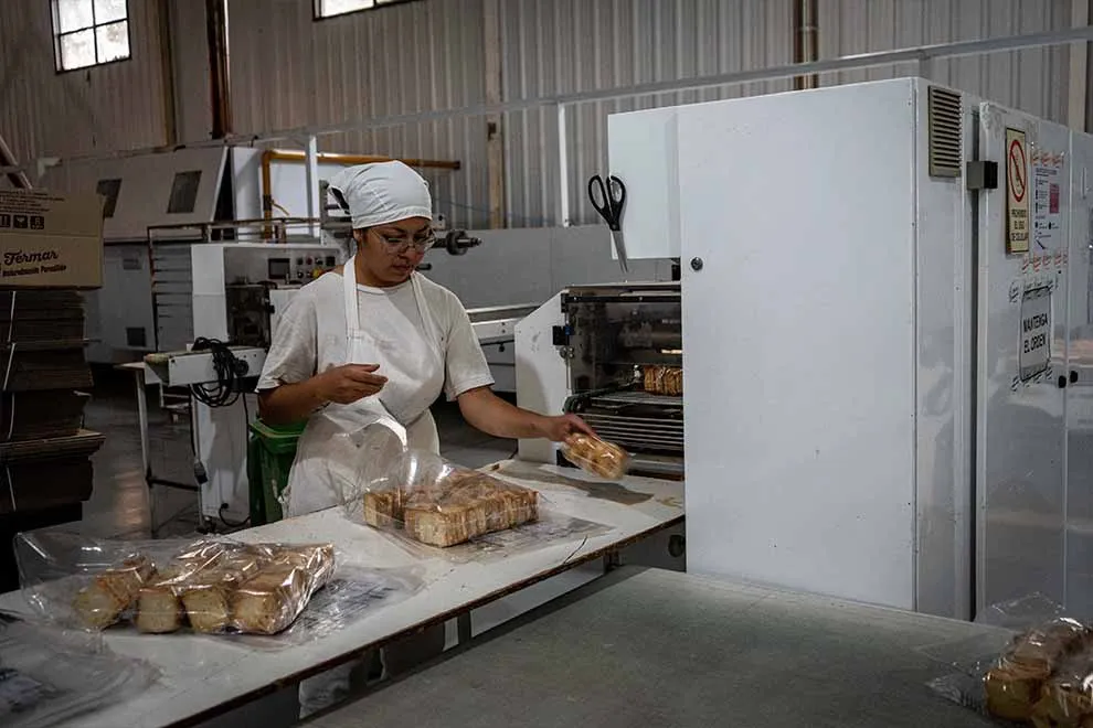 WhatsApp-Image-2026-01-21-at-18.04.58