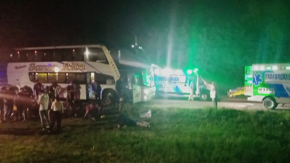 WhatsApp Image 2024-10-15 at 09.05.12