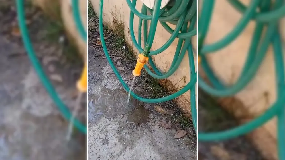 Sin Agua
