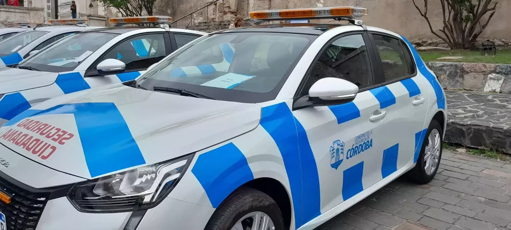 seguridad ciudadana