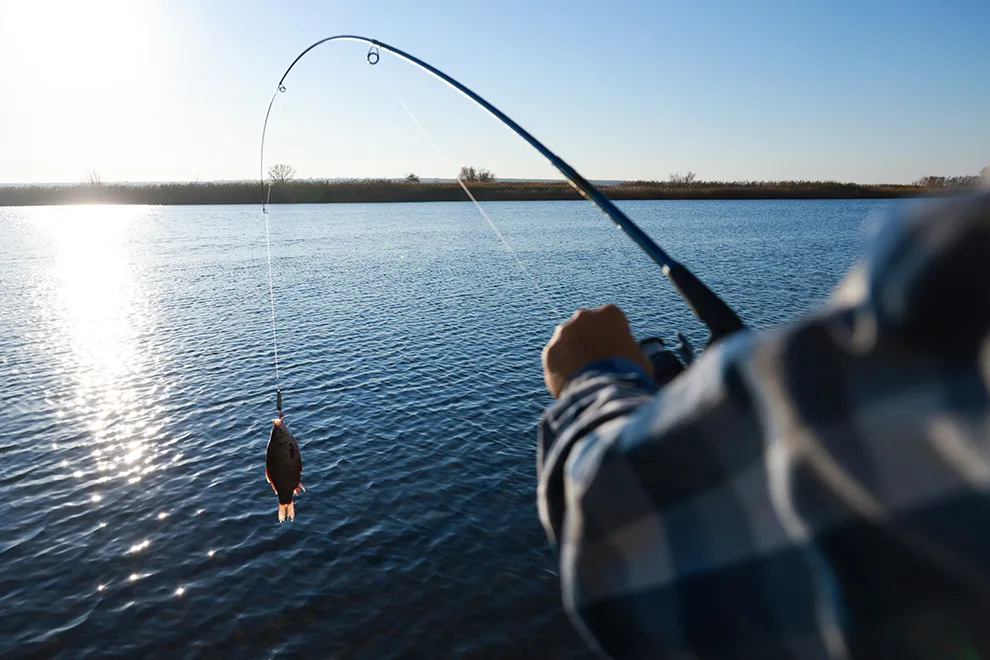 ambiente_resolucion_veda_nocturna_pesca_990x600