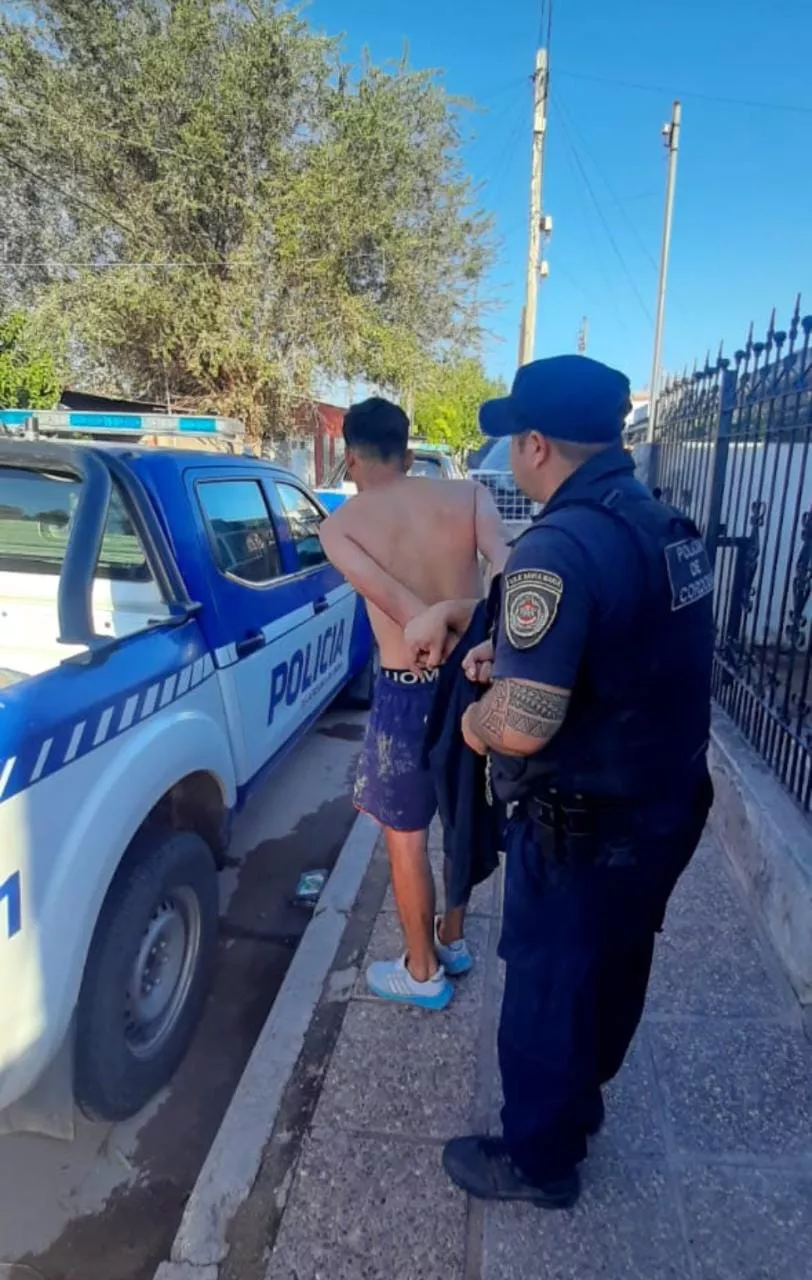 policiales