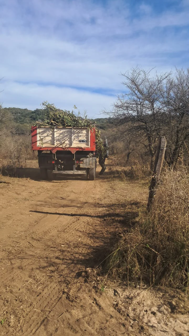 Denuncian Basural en Zona Roja - Villa los aromos (4)