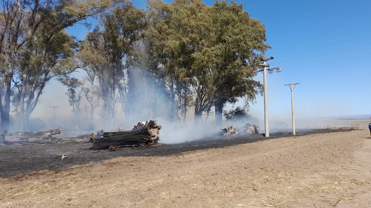 WhatsApp Image 2023-09-13 at 18.29.15