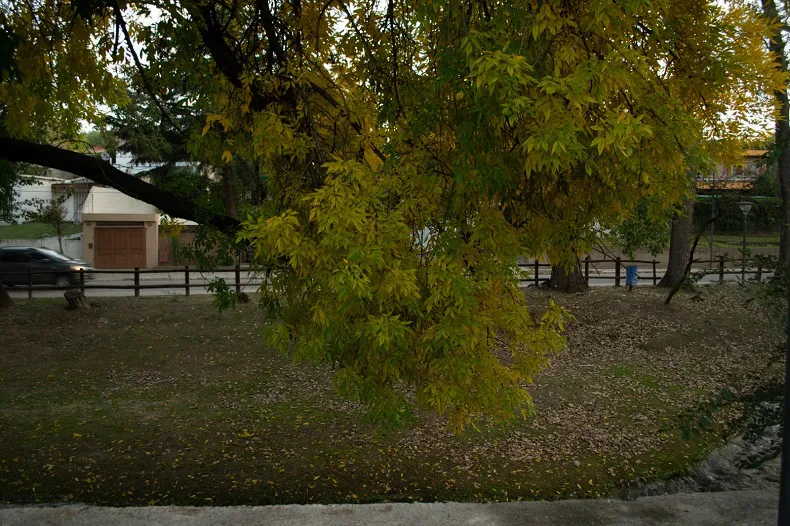 Clima 2025 Otoño Parc. Nublado (8)