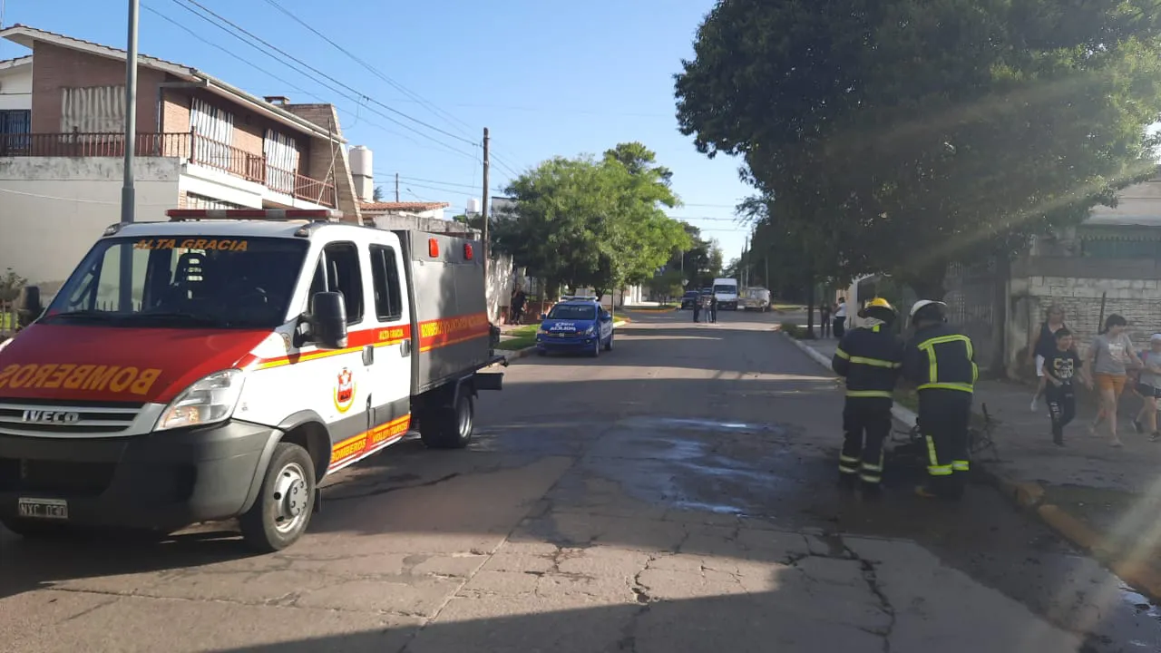 WhatsApp Image 2024-11-14 at 09.16.36