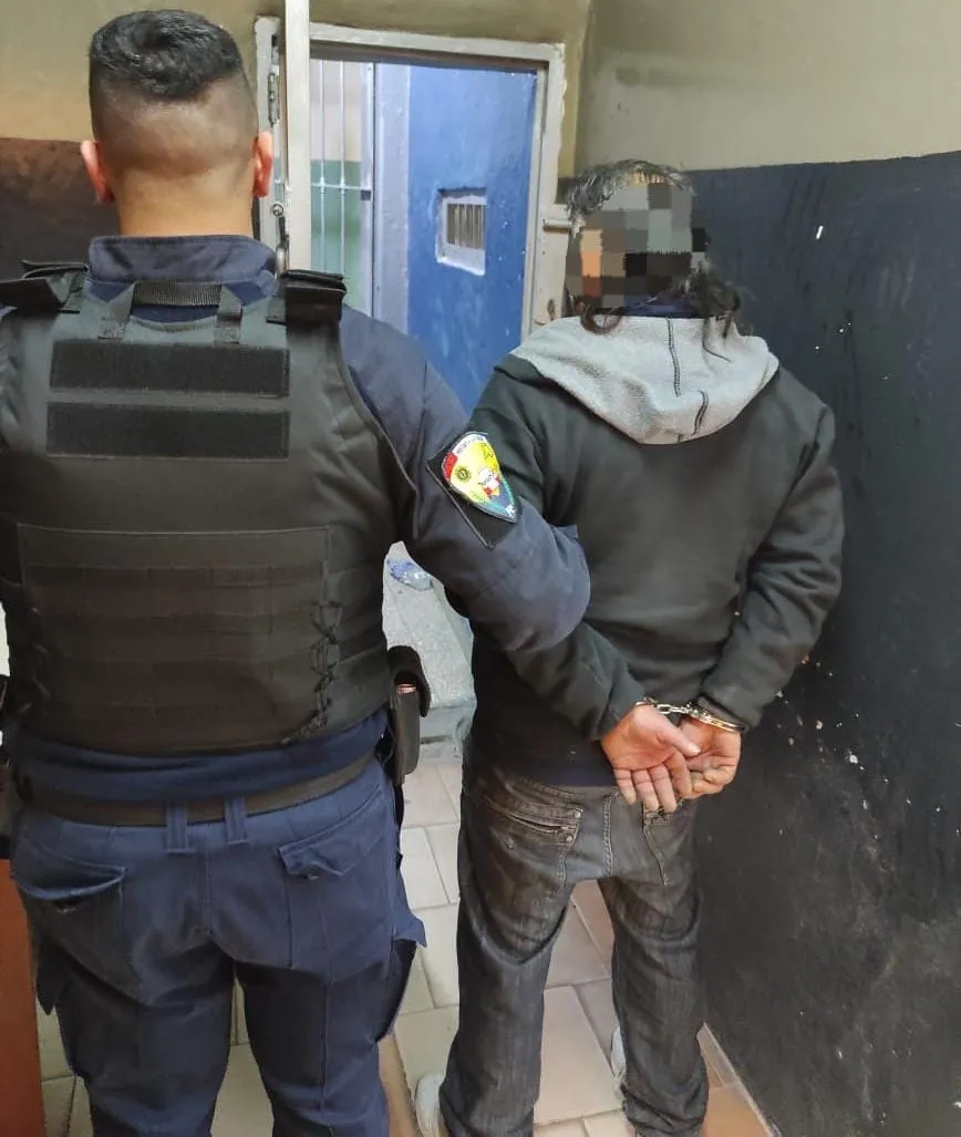 Policiales