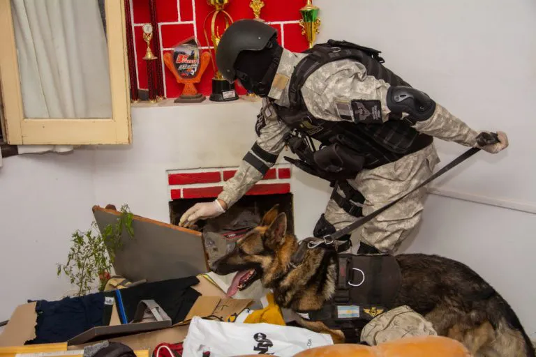 fpa alta gracia condenados